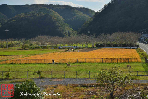 2023-Field-3-17